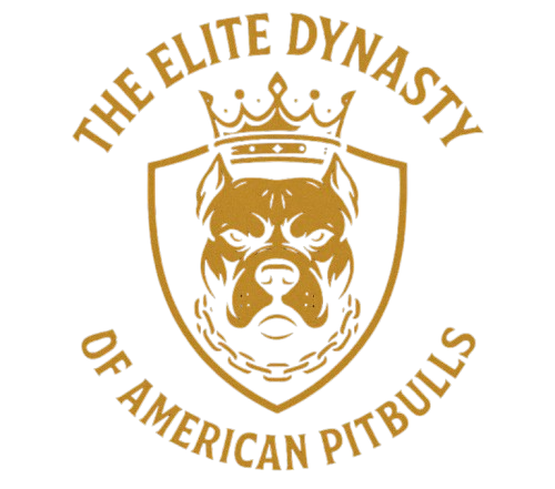 American Pitbull Dynasty